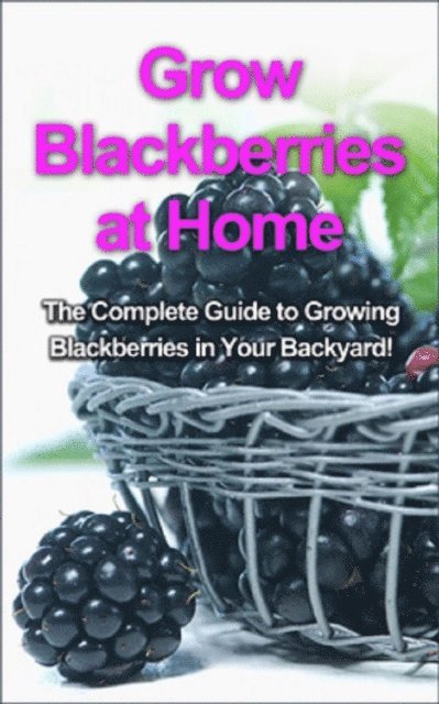 Steve Ryan - Grow Blackberries at Home, E-bok