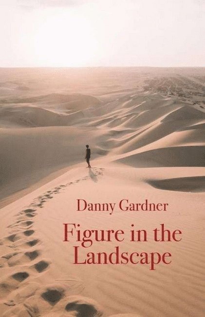 Danny Gardner - Figure in the Landscape, Häftad
