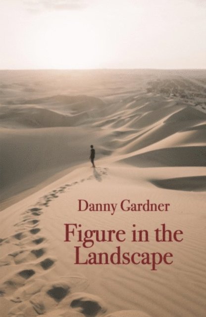 Danny Gardner - Figure in the Landscape, E-bok
