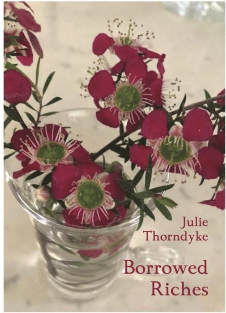 Julie Thorndyke - Borrowed Riches, E-bok