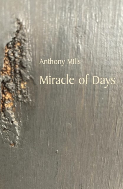 Anthony Mills - Miracle of Days, E-bok