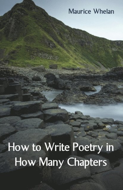 Maurice Whelan - How to Write Poetry in How Many Chapters, E-bok