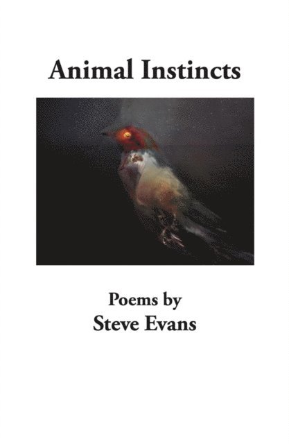Steve Evans - Animal Instincts, E-bok