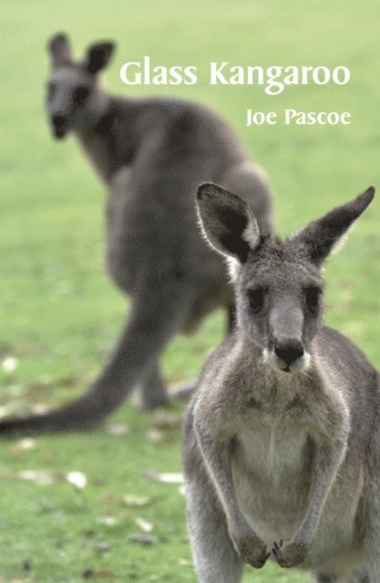 Joe Pascoe - Glass Kangaroo, E-bok. Tillgänglighet: Lägg i varukorg