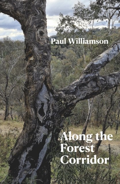 Paul Williamson - Along the Forest Corridor, E-bok