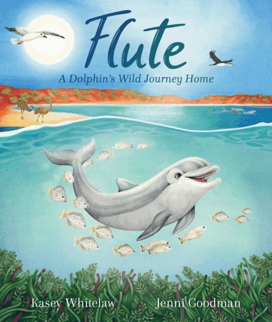 Jenni Goodman, Kasey Whitelaw - Flute: A Dolphin's Wild Journey Home, E-bok