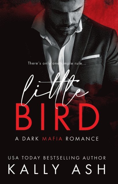 Kally Ash - Little Bird, E-bok