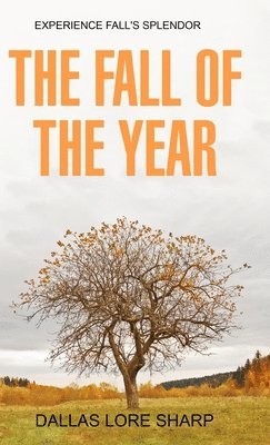 Dallas Lore Sharp - Fall of the Year, Inbunden