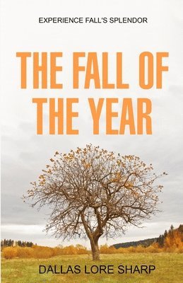 Dallas Lore Sharp - Fall of the Year, Häftad
