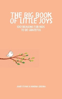 James Evans - Big Book of Little Joys, Inbunden