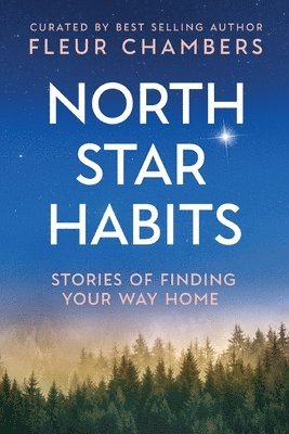 North Star Habits: Stories of Finding Your Way Home, Häftad