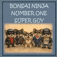 Chris Anne Moore - Bonsai Ninja - Number One Super Guy!, Häftad