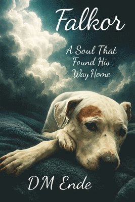 D M Ende - Falkor A Soul That Found His Way Home, Häftad