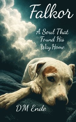D M Ende - Falkor A Soul That Found His Way Home, Inbunden