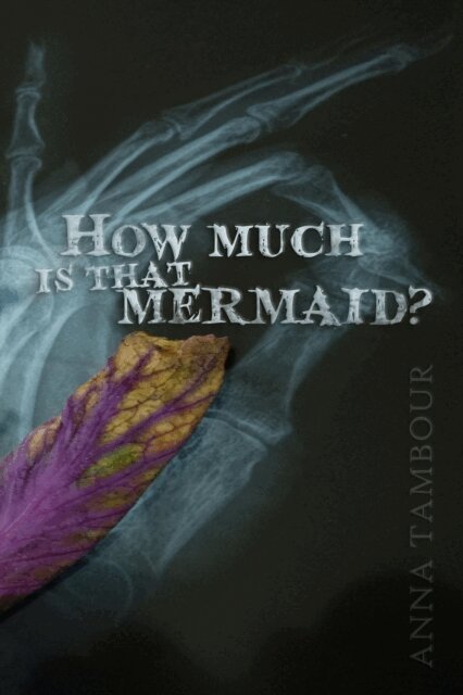 Anna Tambour - How Much is That Mermaid?, E-bok