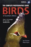 Complete Photographic Field Guide Birds of Southern Africa av Ian Sinclair, Peter Ryan