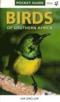 Pocket Guide Birds of Southern Africa