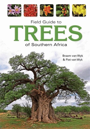 Braam van Wyk - Field Guide to Trees of Southern Africa, Häftad