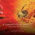 A landscape of insects and other invertebrates