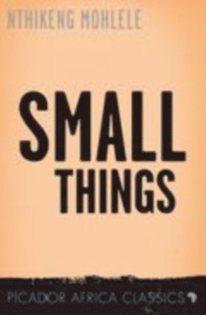 Nthikeng Mohlele - Small Things, E-bok