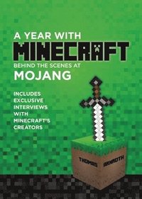 A Year With Minecraft
