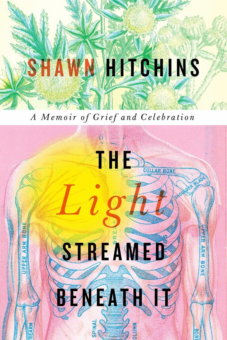 Shawn Hitchins - Light Streamed Beneath It, Häftad