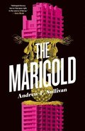 Marigold