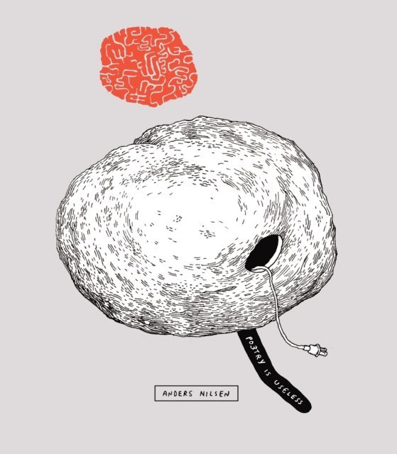Anders Nilsen - Poetry Is Useless, E-bok