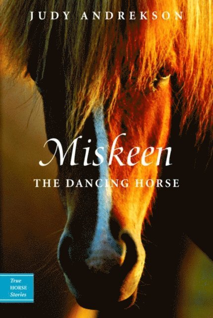 Judy Andrekson - Miskeen, E-bok