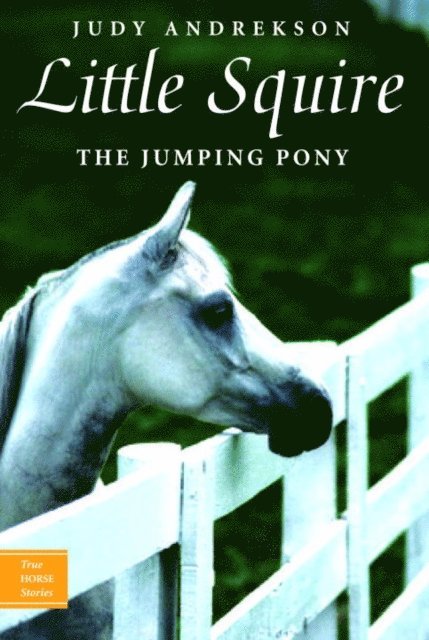 Judy Andrekson - Little Squire, E-bok