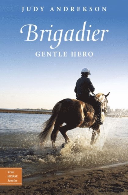 Judy Andrekson - Brigadier, E-bok