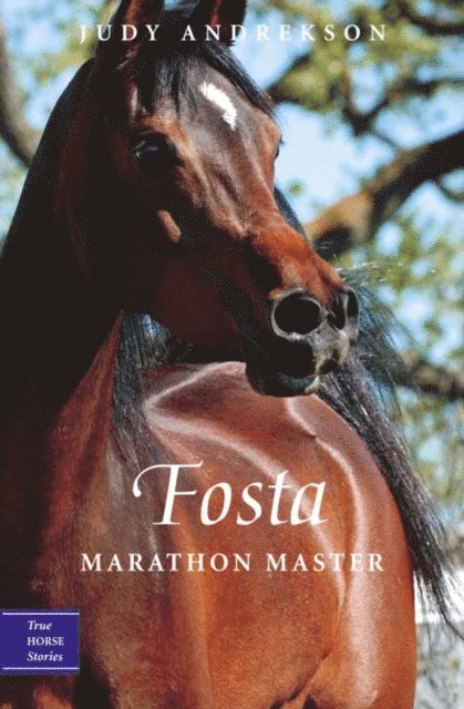 Judy Andrekson - Fosta, E-bok