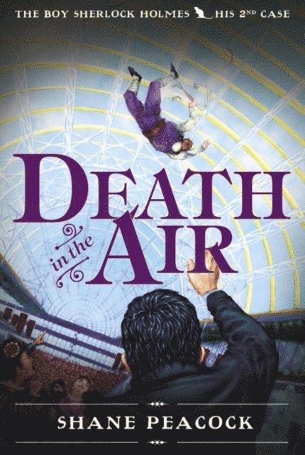 Shane Peacock - Death in the Air, E-bok