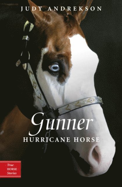 Judy Andrekson - Gunner, E-bok