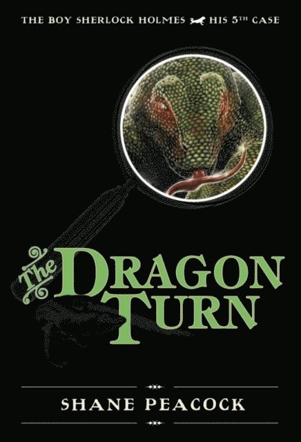 Shane Peacock - Dragon Turn, E-bok