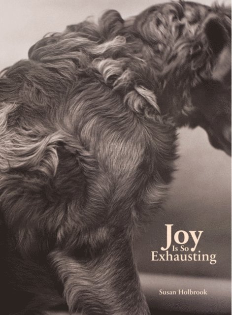 Susan Holbrook - Joy Is So Exhausting, E-bok