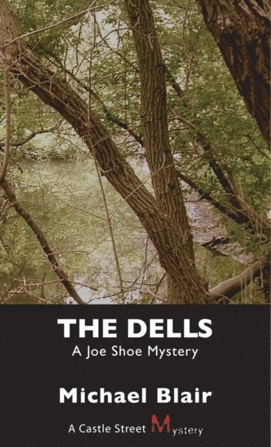 Michael Blair - Dells, E-bok