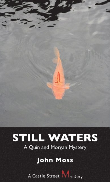 John Moss - Still Waters, E-bok