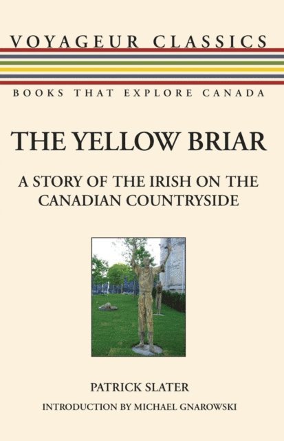 Patrick Slater - Yellow Briar, E-bok