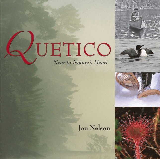 Jon Nelson - Quetico, E-bok