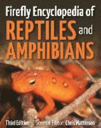 Chris Mattison - Firefly Encyclopedia of Reptiles and Amphibians, Inbunden. Tillgänglighet: Lägg i varukorg