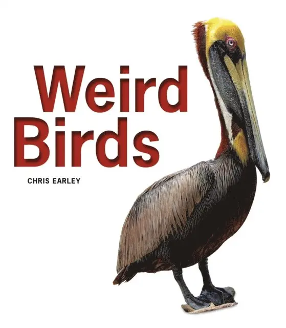 Chris Earley - Weird Birds, E-bok. Tillgänglighet: Lägg i varukorg