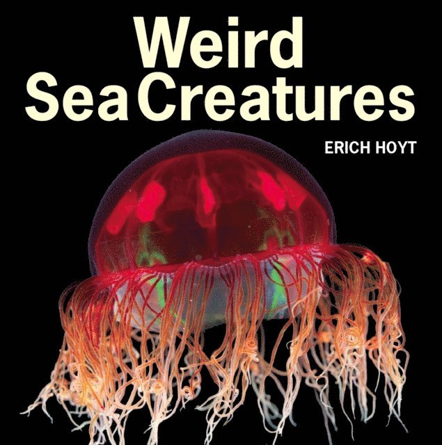 Erich Hoyt - Weird Sea Creatures, E-bok