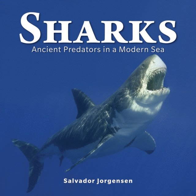 Salvador Jorgensen - Sharks, E-bok. Tillgänglighet: Lägg i varukorg