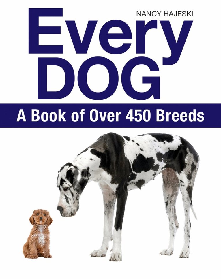 Nancy Hajeski - Every Dog, Häftad