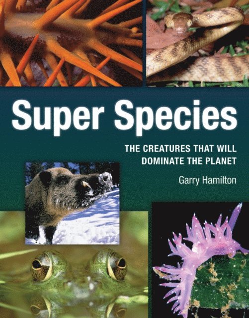 Garry Hamilton - Super Species, E-bok. Tillgänglighet: Lägg i varukorg