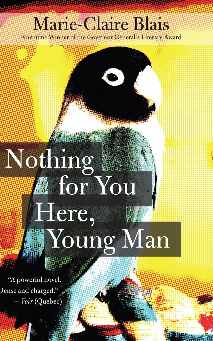 Marie-Claire Blais - Nothing for You Here, Young Man, Häftad