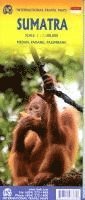 Sumatra, Övrigt
