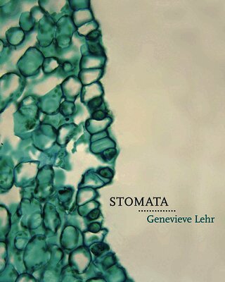 Genevieve Lehr - Stomata, Häftad. Tillgänglighet: Tillfälligt slut