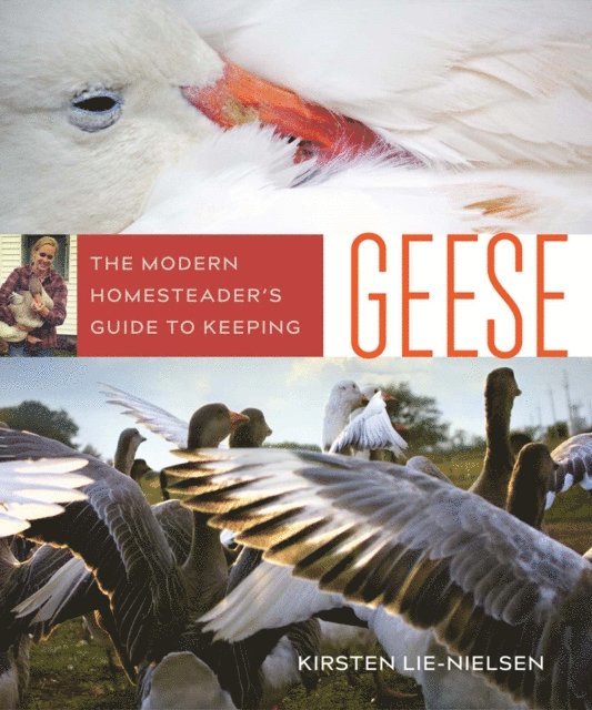 Kirsten Lie-Nielsen - Modern Homesteader's Guide to Keeping Geese, E-bok